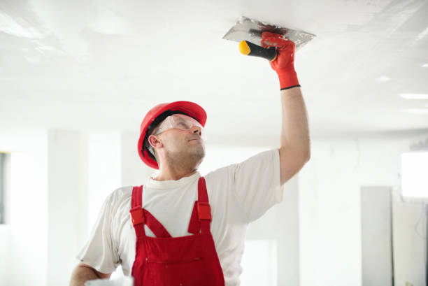 Best Environmental Consulting for Mold Prevention  in Shady Spring, WV